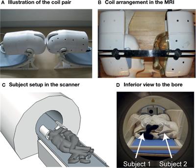 Imaging Real-Time Tactile Interaction With Two-Person Dual-Coil fMRI